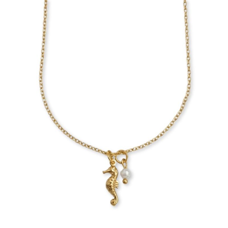 Colar Cavalo Marinho e Pérola ABS em Aço Inoxidável