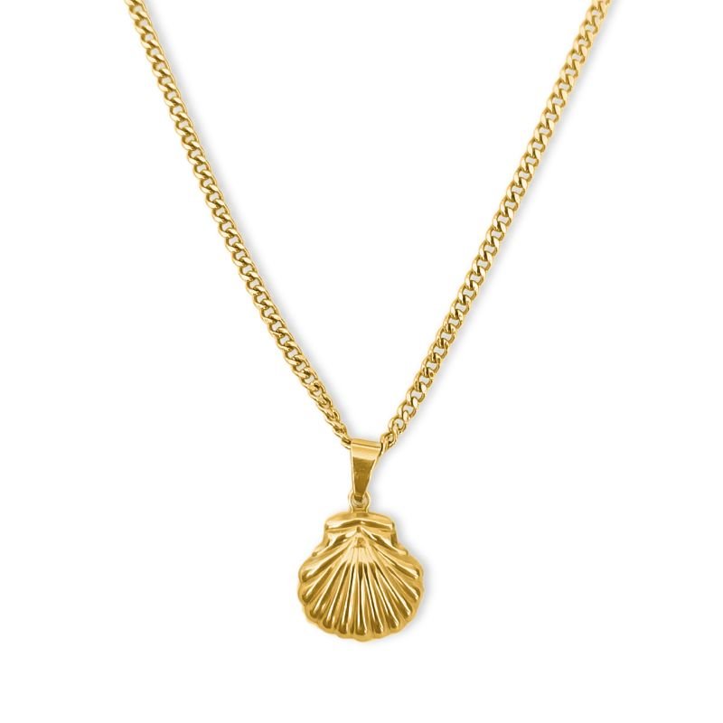 Colar Concha Pequena em Aço Inoxidável