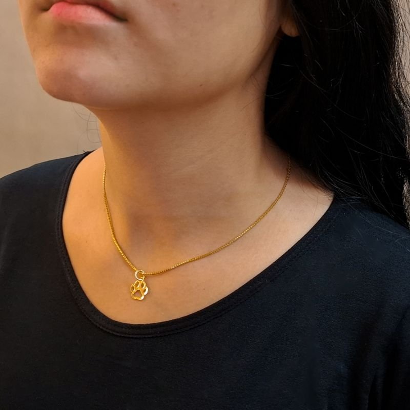 Pingente Patinha Pet Cachorro Gato em Aço Inoxidável